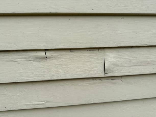 Best Storm Damage Siding Repair  in Cleveland, WI